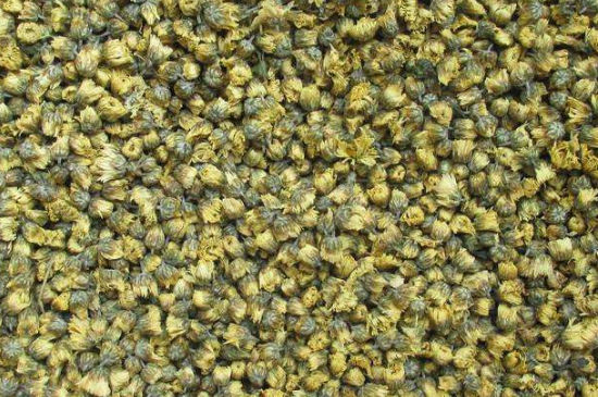 菊花茶大朵小朵有什么區(qū)別，菊花喝大朵還是小朵？