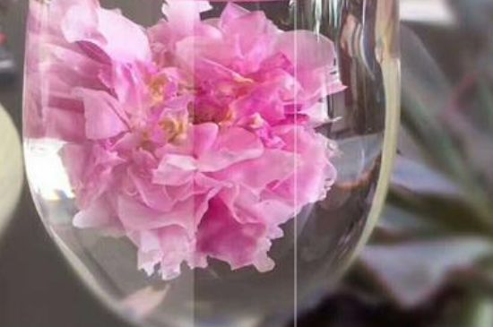 干玫瑰花泡水放幾顆，玫瑰花泡水一次放幾朵？