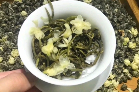 茉莉香珠跟龍珠有什么區(qū)別嗎，茉莉龍珠和茉莉香珠那個(gè)好？