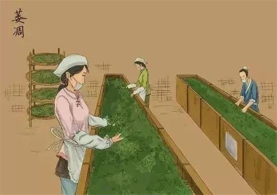 制茶八步驟，制茶工藝流程圖
