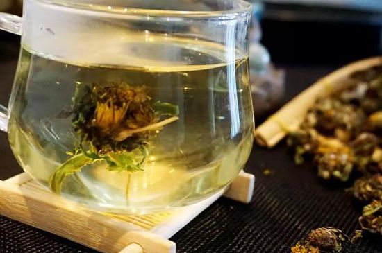 蒲公英最佳搭配，蒲公英茶和什么搭配泡水最佳