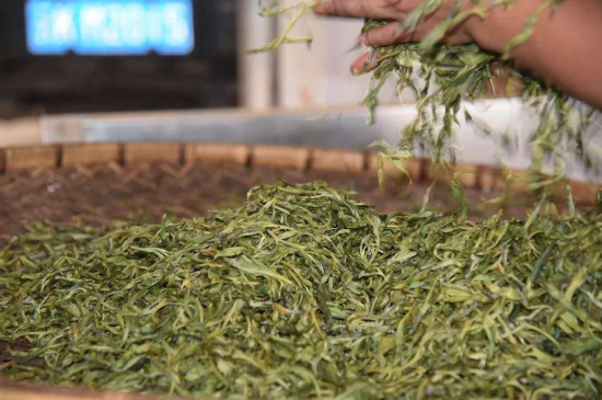 炒青綠茶與綠茶的區(qū)別，烘青和炒青哪個好喝？