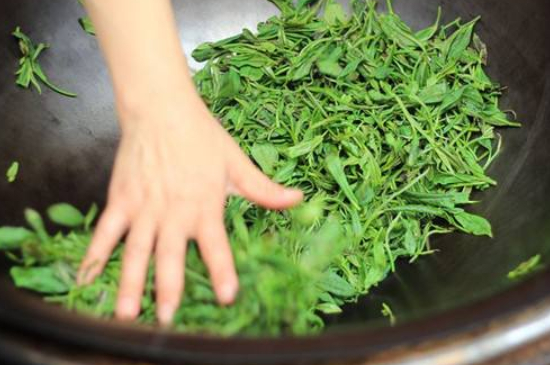 炒青綠茶與綠茶的區(qū)別，烘青和炒青哪個好喝？