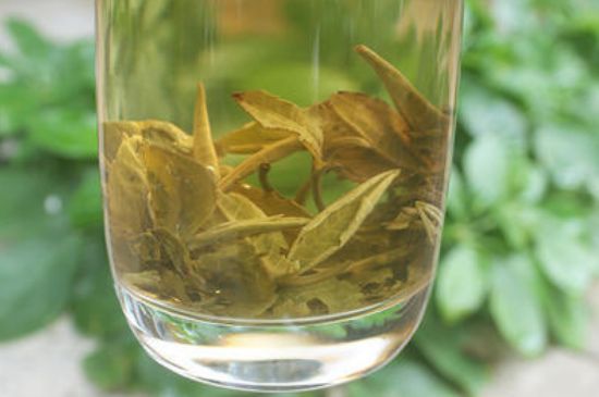 茉莉龍珠泡開(kāi)后為什么都是梗，茉莉龍珠泡開(kāi)后什么樣？