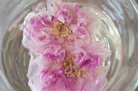 玫瑰花茶上火嗎，盲目喝玫瑰花茶易上火