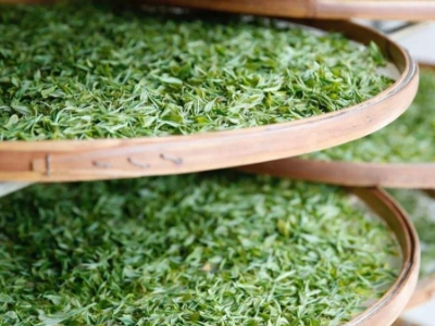 云南八大茶系分別是哪些，都是什么名字