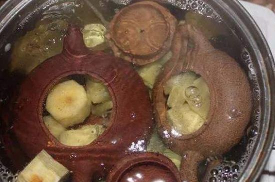 開壺放豆腐是錯誤的，新買的紫砂壺正確開壺建議