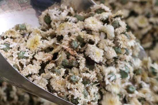 菊花茶買小朵還是大朵，泡茶用的小菊花和大菊花哪個(gè)好