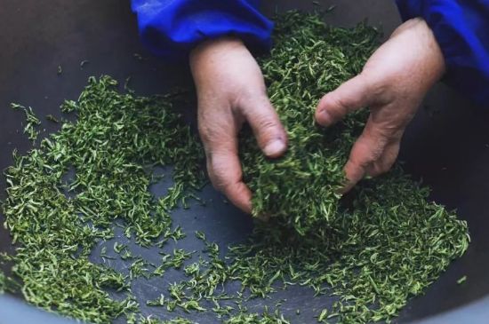 自家炒茶葉怎么炒，自己炒茶葉的步驟