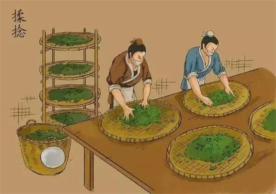 制茶八步驟，制茶工藝流程圖