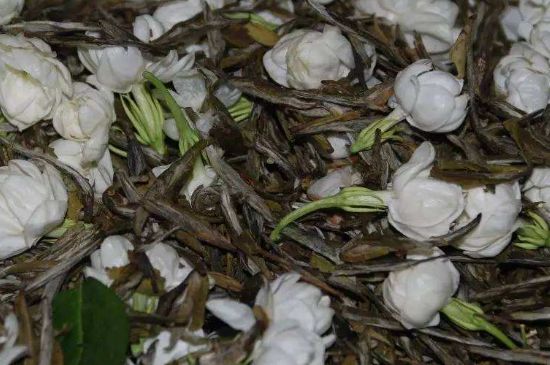 茉莉龍珠怎么做的，茉莉龍珠的制作工藝