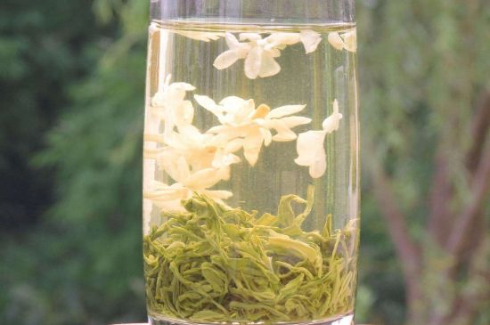 茉莉龍珠可以和什么一起泡茶，茉莉龍珠茶能加蜂蜜嗎？