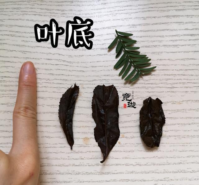 正山小種很細(xì)還很黑亮，正山小種越細(xì)越好嗎