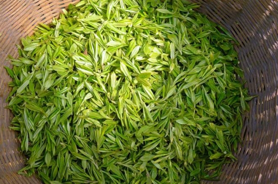 烏牛早和龍井的區(qū)別圖片，龍井43號(hào)和烏牛早茶的對(duì)比