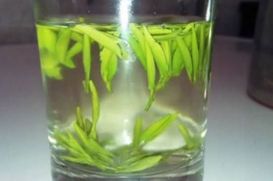 翠眉是什么茶，適合什么時候喝