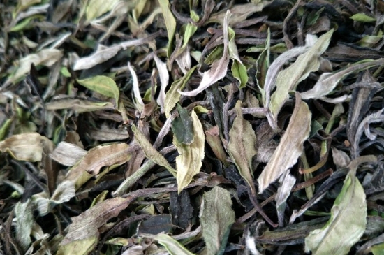 福鼎白茶貢眉和壽眉的區(qū)別，壽眉與貢眉有什么區(qū)別