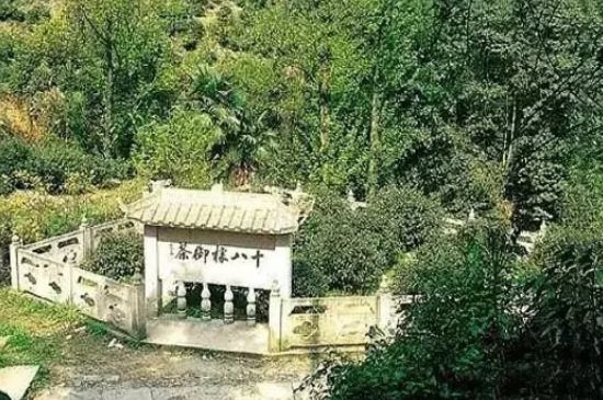 母樹大紅袍給誰喝了，為什么母樹大紅袍叫三棵六株？