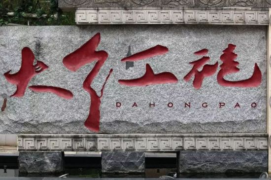 母樹大紅袍給誰喝了，為什么母樹大紅袍叫三棵六株？