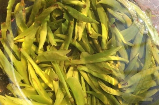 龍井是明前的好還是雨前的好，明前茶和雨前茶哪個好喝？