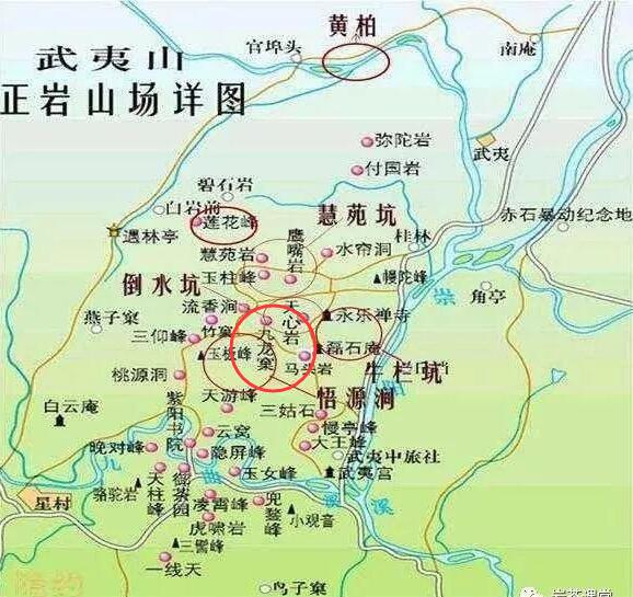 母樹大紅袍給誰喝了，為什么母樹大紅袍叫三棵六株？