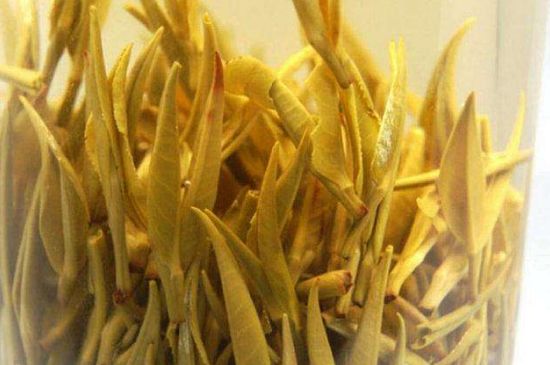 黃茶不適合哪些人喝，黃茶的功效與作用禁忌