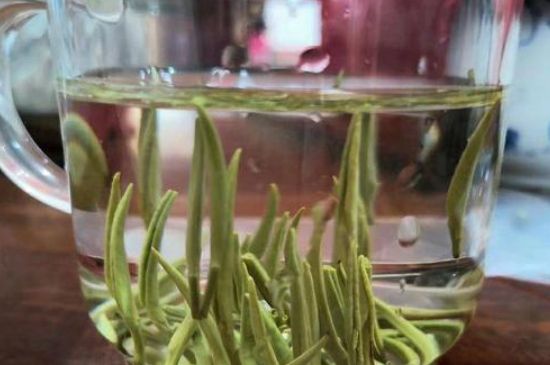 踏雪蘭妃是什么茶，踏雪蘭妃是哪里的茶葉?