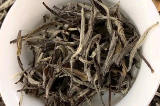 三年白茶賽砒霜，這是真的嗎？