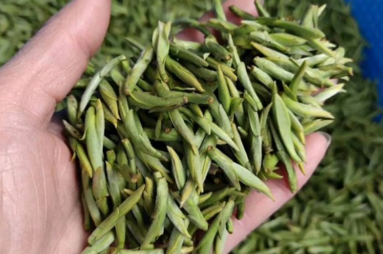 龍井茶好壞的鑒別圖片，如何區(qū)別龍井茶的好壞？