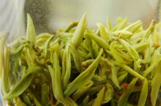 碧螺春為什么泡水渾濁，碧螺春茶葉泡水感覺很臟是混濁的