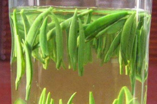 竹葉青和毛尖的區(qū)別，毛尖和竹葉青怎么分辨？