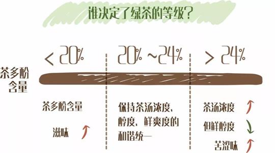 什么綠茶口味重口感濃郁，口味比較重的綠茶都有那些？