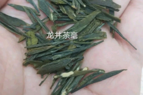 西湖龍井茶毫和發(fā)霉區(qū)別圖片，長霉的龍井茶葉會是什么樣？