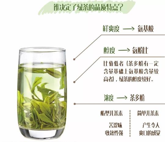 什么綠茶口味重口感濃郁，口味比較重的綠茶都有那些？