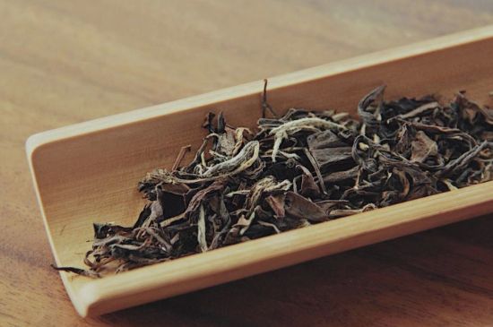 怎么撬老白茶茶餅不容易碎，福鼎白茶如何撬茶方法