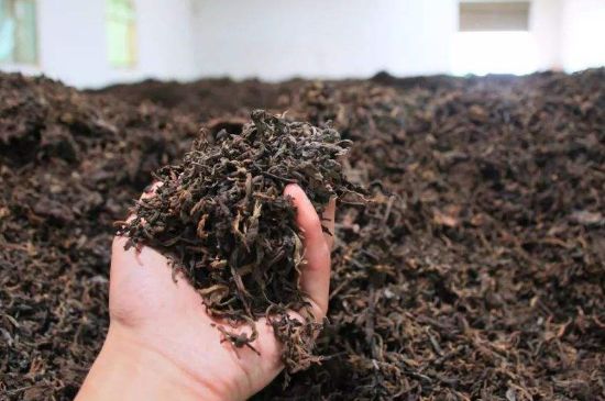 茯磚茶與普洱茶哪個(gè)好，茯茶和普洱茶口味區(qū)別