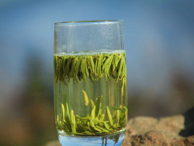 竹葉青茶怎么樣，檔次較高味道略苦價格比較貴