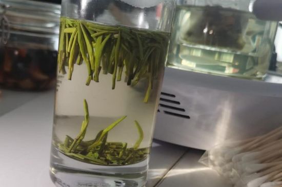 金壇雀舌算不算好茶，金壇雀舌屬于什么檔次茶葉？