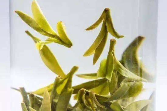 烏牛早和龍井的區(qū)別圖片，龍井43號(hào)和烏牛早茶的對(duì)比