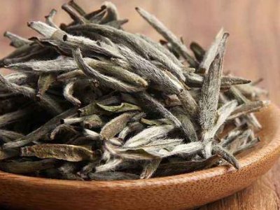 白茶有哪些品種排名，<a href=http://m.sdkjzx.com/fenlei/baicha/ target=_blank class=infotextkey>白茶的種類</a>大全