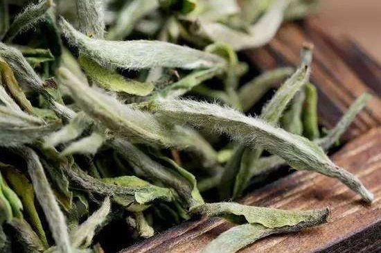 荒野銀針有什么特點，荒野銀針的味道口感咋樣？