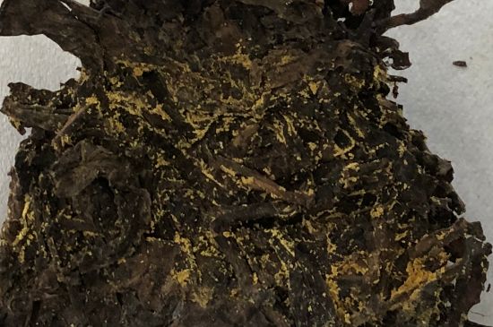 怎么知道涇渭茯茶是否變質(zhì)，茯磚茶金花和發(fā)霉的區(qū)別