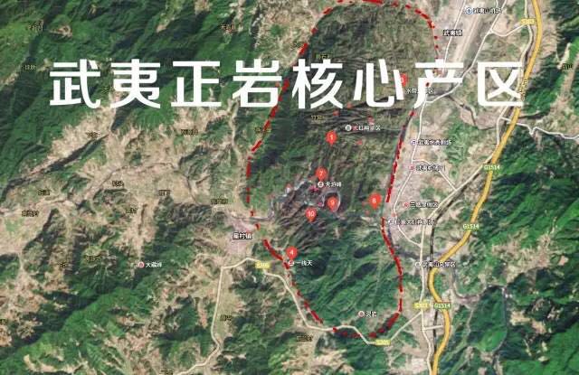 武夷山為什么盛產(chǎn)茶葉，武夷山茶為什么好喝？