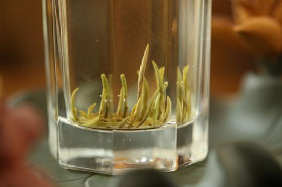 踏雪蘭妃是什么茶，踏雪蘭妃是哪里的茶葉?