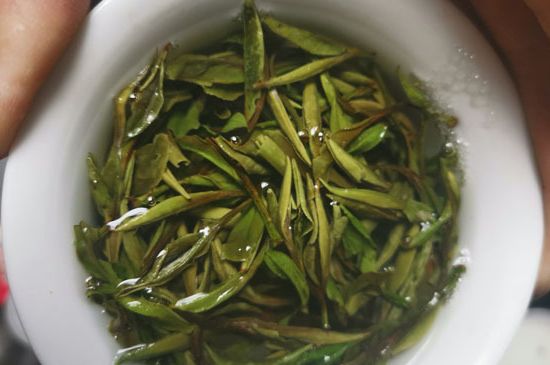 什么人不能喝白茶，白茶不宜什么人喝？