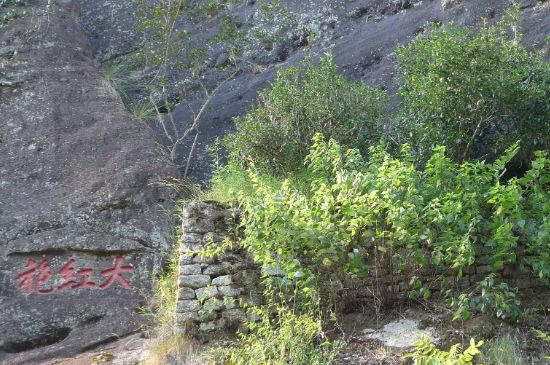 母樹大紅袍給誰喝了，為什么母樹大紅袍叫三棵六株？