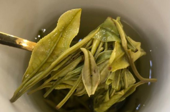 新舊白茶怎么區(qū)分，怎么分辨白茶是新還是舊