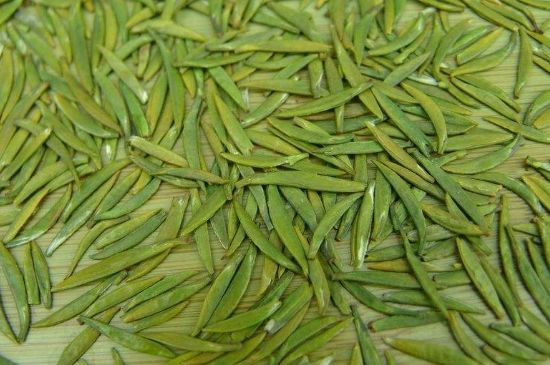 竹葉青和毛尖的區(qū)別，毛尖和竹葉青怎么分辨？