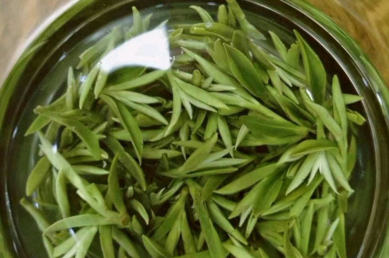 什么綠茶茶葉唇齒留香，哪個(gè)品種綠茶香氣好？