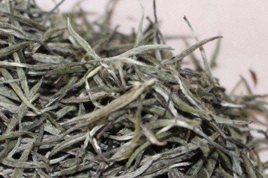 什么人不能喝白茶，白茶不宜什么人喝？