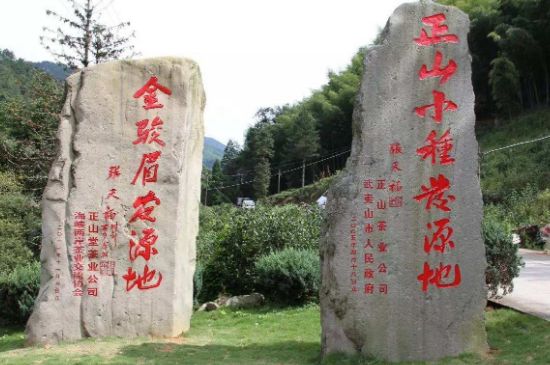 300塊錢的金駿眉能喝嗎，兩三百多金駿眉和一千多區(qū)別